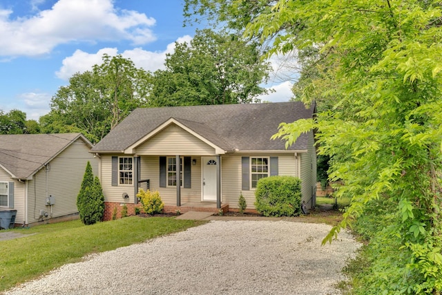view of front facade featuring covered porch, roof with shingles, driveway, and a front yard