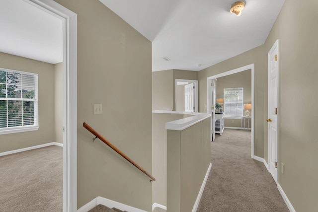 405 Ramble Wood Cir, Nashville, TN 37221 - photo 14