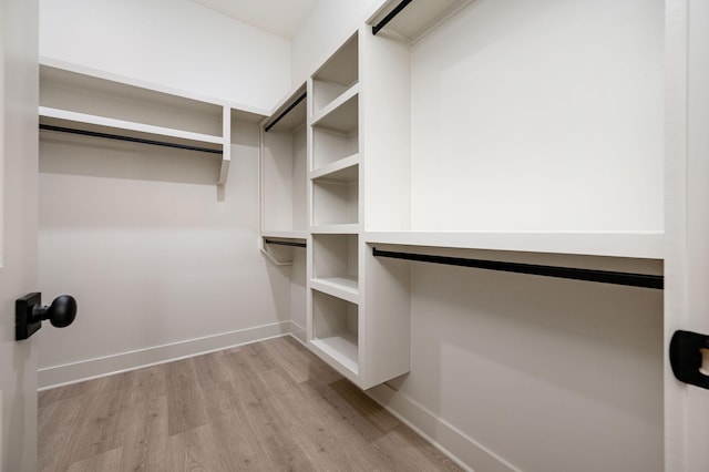 508 Gresham Ln, Murfreesboro, TN 37129 - walk in closet featuring light wood-type flooring
