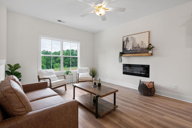 186 Dewberry Ct, Clarksville, TN 37042 - living room with a glass covered fireplace, wood finished floors, baseboards, and a ceiling fan