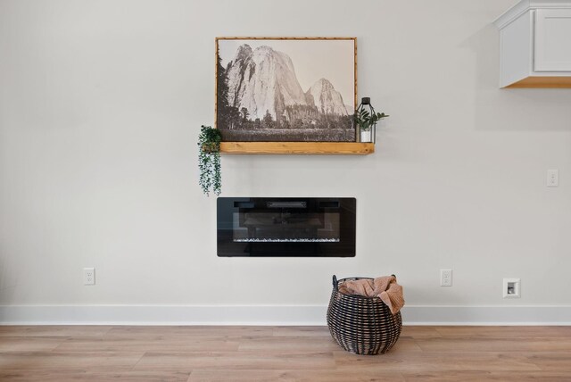 186 Dewberry Ct, Clarksville, TN 37042 - detailed view of baseboards, wood finished floors, and a glass covered fireplace