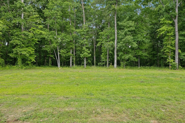 view of yard with a forest view