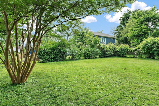 view of grassy yard