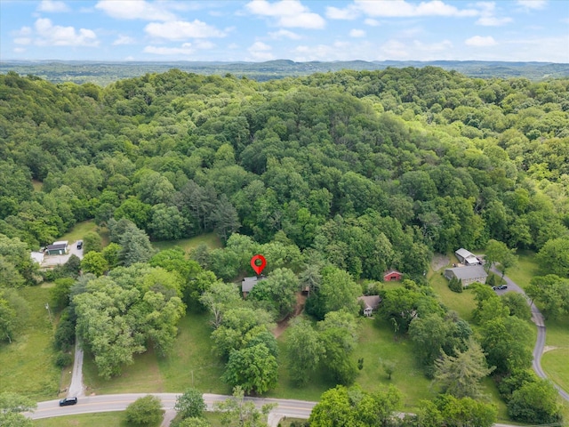 1326 Holly Tree Gap Rd, Brentwood, TN 37027 - bird's eye view of a heavily wooded area