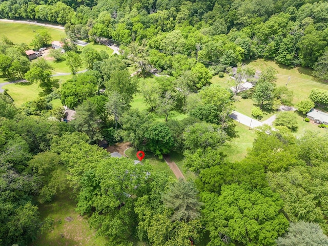 1326 Holly Tree Gap Rd, Brentwood, TN 37027 - view of property location featuring a forest