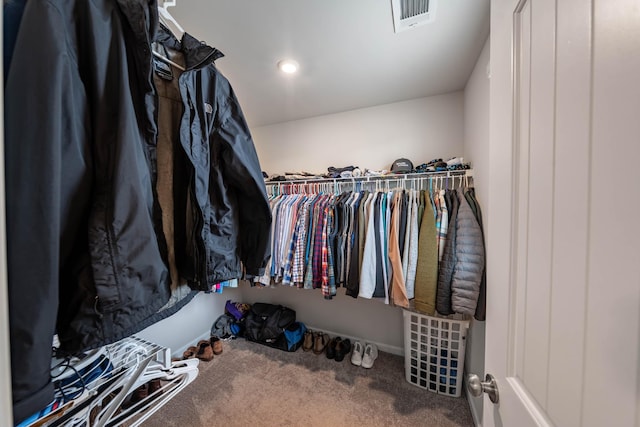 3021 Duvall Dr, Gallatin, TN 37066 - spacious closet featuring carpet floors