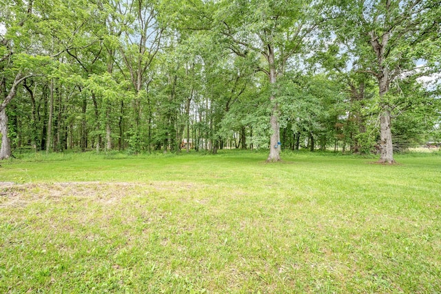 7227 Fredonia Rd, Manchester, TN 37355 - photo 33