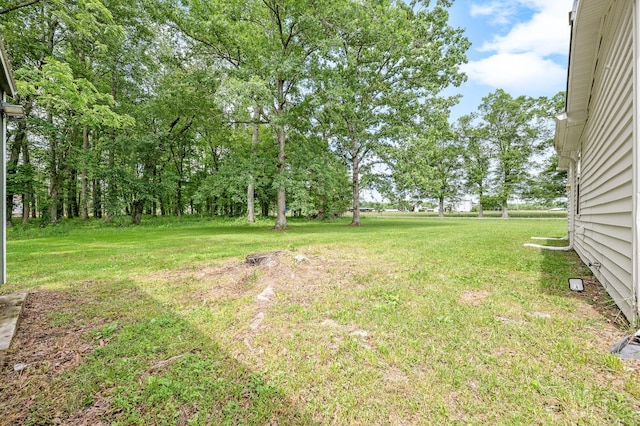 7227 Fredonia Rd, Manchester, TN 37355 - photo 32