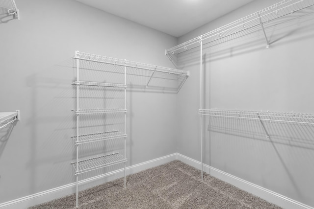 373 Galway Dr, Clarksville, TN 37042 - spacious closet with carpet floors