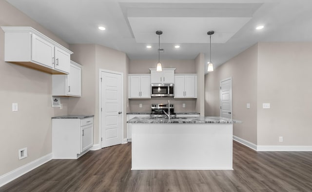 373 Galway Dr, Clarksville, TN 37042 - kitchen with stainless steel appliances, dark wood-style flooring, baseboards, a sink, and recessed lighting