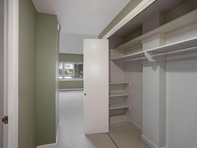 4200 W End Ave Unit 203, Nashville, TN 37205 - walk in closet featuring carpet floors