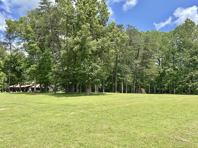 100 Shelton Ln, Manchester, TN 37355 - photo 48