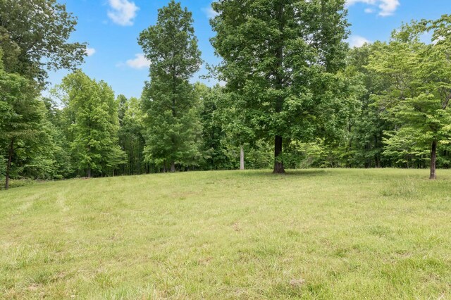 100 Shelton Ln, Manchester, TN 37355 - photo 82
