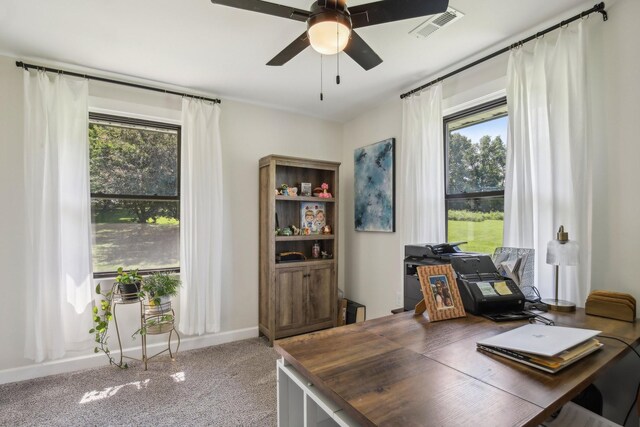 4151 Sadlersville Rd, Adams, TN 37010 - carpeted home office featuring a ceiling fan and baseboards