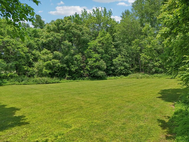 4151 Sadlersville Rd, Adams, TN 37010 - view of grassy yard featuring a view of trees