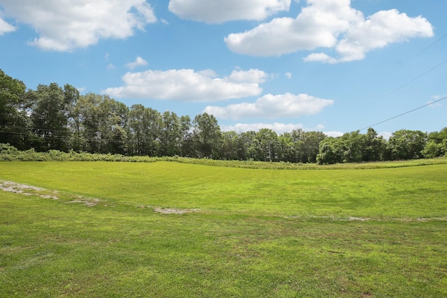 4151 Sadlersville Rd, Adams, TN 37010 - view of green lawn