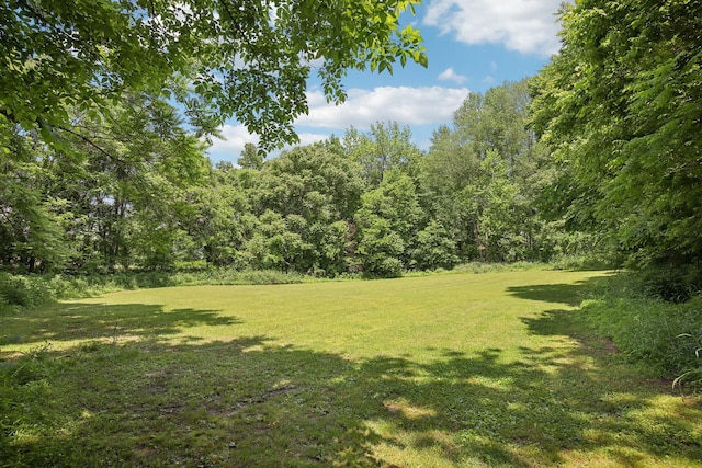 4151 Sadlersville Rd, Adams, TN 37010 - view of grassy yard featuring a view of trees