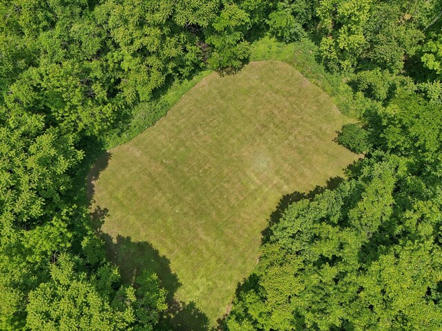 4151 Sadlersville Rd, Adams, TN 37010 - aerial view of property and surrounding area