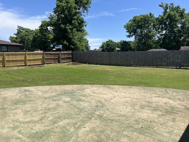 view of yard featuring a patio area