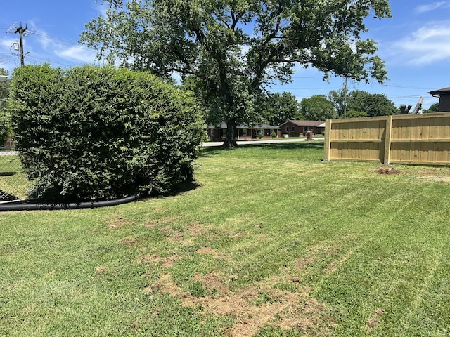 view of yard