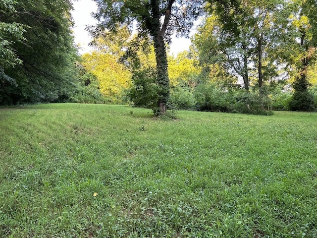 view of green lawn featuring a wooded view