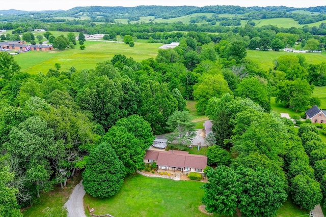 drone / aerial view