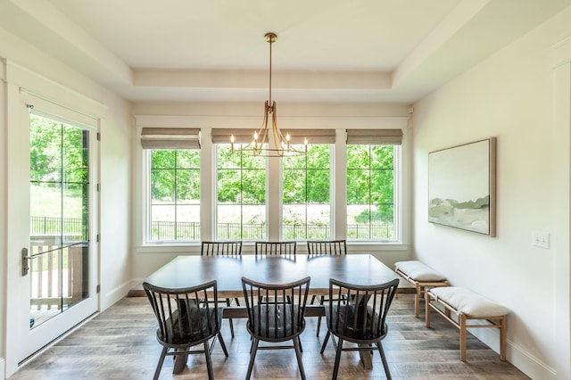 dining space with wood finished floors, a tray ceiling, and baseboards