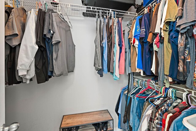 1172 Country Fields Ln, Clarksville, TN 37040 - view of walk in closet