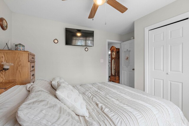 1172 Country Fields Ln, Clarksville, TN 37040 - bedroom with a closet and a ceiling fan