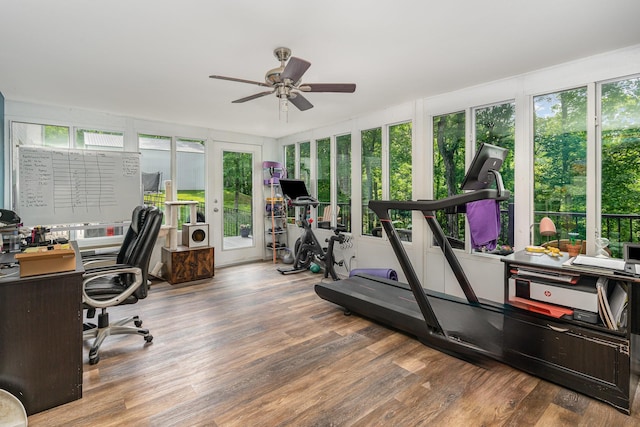 247 High Cliff Dr, Hendersonville, TN 37075 - exercise area with ceiling fan and wood finished floors