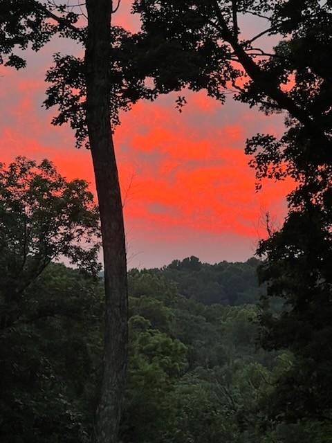 247 High Cliff Dr, Hendersonville, TN 37075 - view of woods