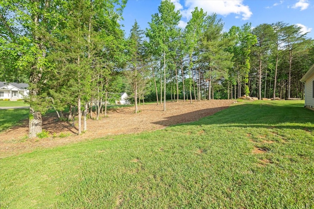 5004 Curtis Way, Cookeville, TN 38506 - view of green lawn