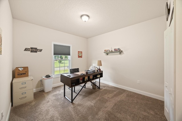 5004 Curtis Way, Cookeville, TN 38506 - office with carpet, a textured ceiling, and baseboards