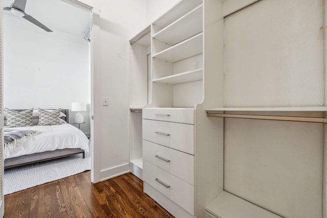 walk in closet with dark wood-type flooring and a ceiling fan
