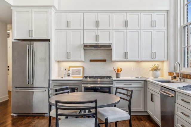 kitchen featuring stainless steel appliances, a sink, dark wood-style floors, under cabinet range hood, and tasteful backsplash