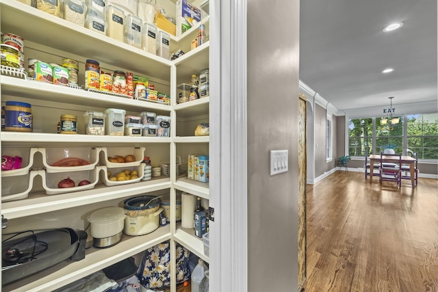 2979 Stewart Campbell Pt, Spring Hill, TN 37174 - view of storage area