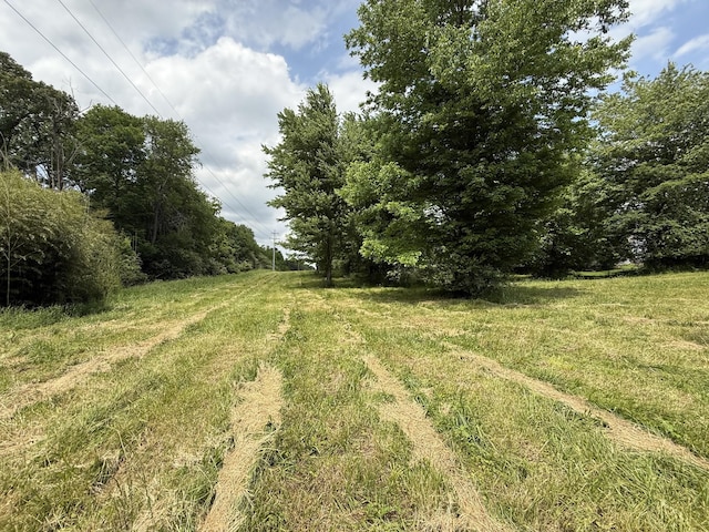 0 Linwood Dr, Mayfield, KY 42066
