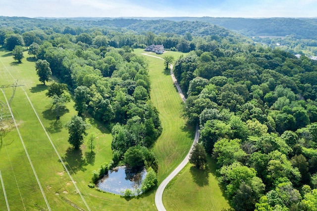 1477 S Harpeth Rd, Kingston Springs, TN 37082 - aerial view of a forest
