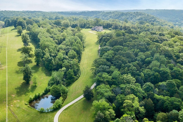 1477 S Harpeth Rd, Kingston Springs, TN 37082 - drone / aerial view of a forest
