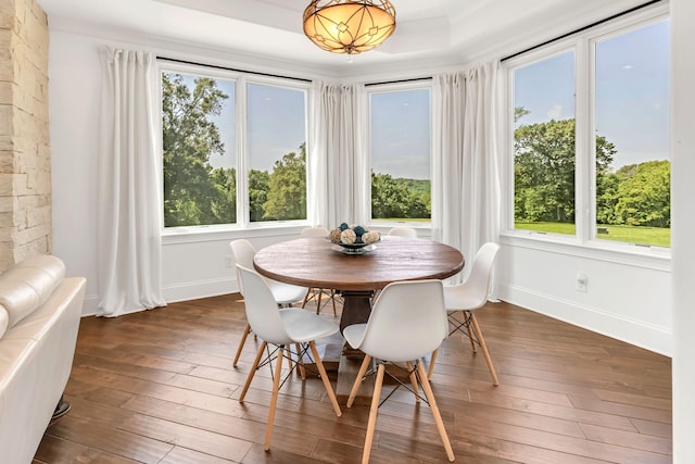 1477 S Harpeth Rd, Kingston Springs, TN 37082 - dining area featuring dark wood-style floors, plenty of natural light, and baseboards