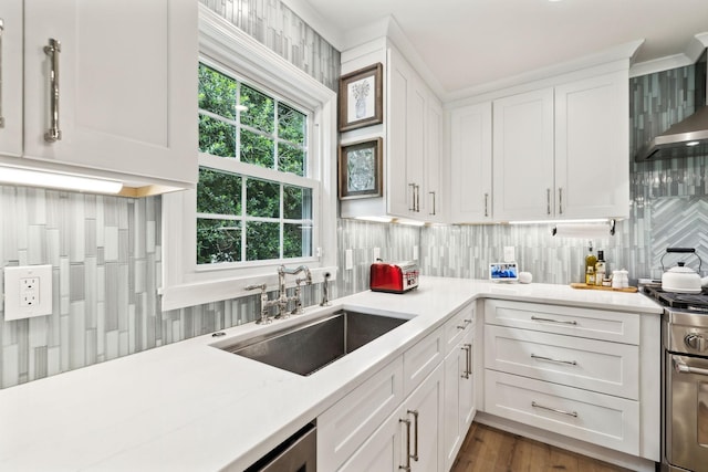 8757 Horton Hwy, College Grove, TN 37046 - kitchen featuring a sink, light countertops, and white cabinets