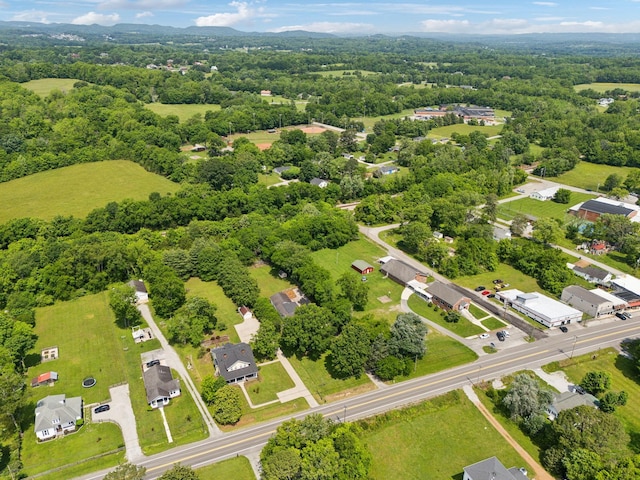 8757 Horton Hwy, College Grove, TN 37046 - aerial view of a heavily wooded area