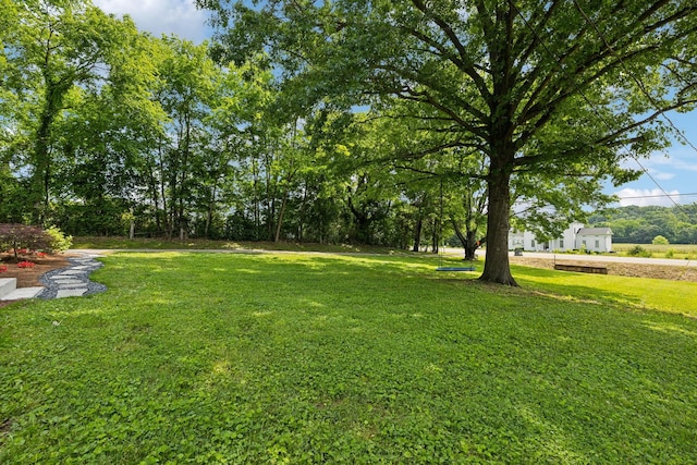 8757 Horton Hwy, College Grove, TN 37046 - view of grassy yard