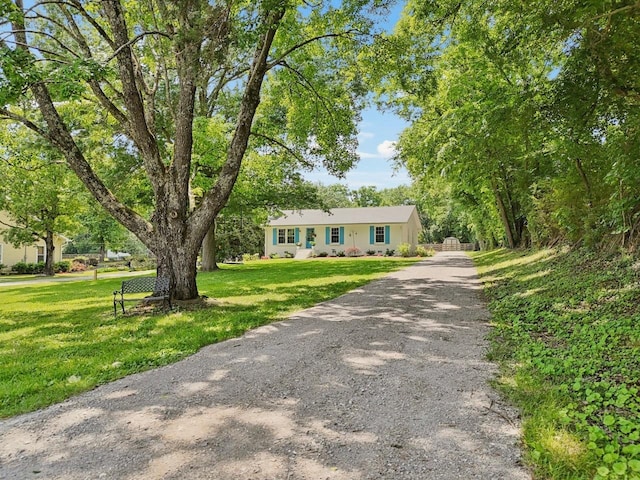 8757 Horton Hwy, College Grove, TN 37046 - ranch-style house with a front lawn and gravel driveway