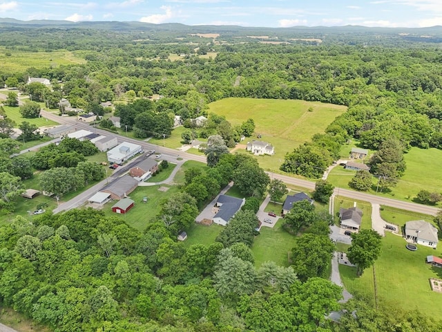 8757 Horton Hwy, College Grove, TN 37046 - bird's eye view of a forest