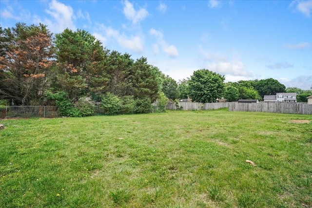 1306 Cason Trl, Murfreesboro, TN 37128 - view of yard