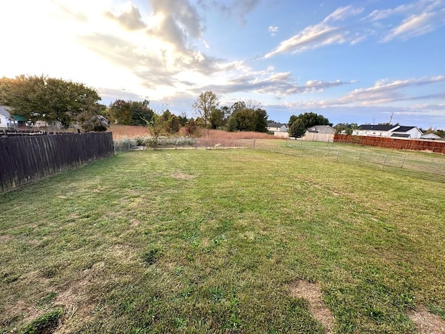 202 Jenna Ave, Oak Grove, KY 42262 - view of yard