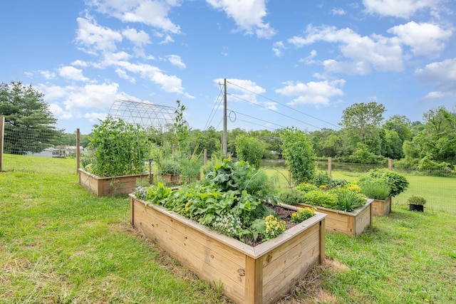 4851 Bethesda Duplex Rd, College Grove, TN 37046 - view of grassy yard featuring a garden