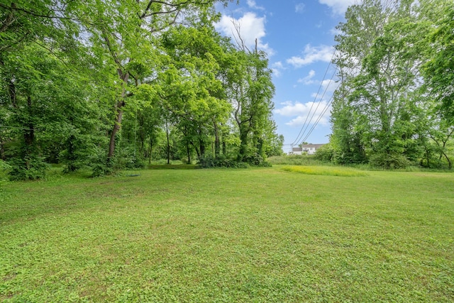 4851 Bethesda Duplex Rd, College Grove, TN 37046 - view of grassy yard