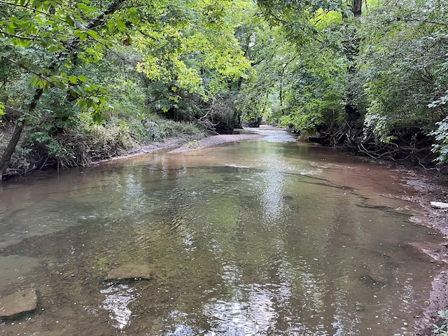 4851 Bethesda Duplex Rd, College Grove, TN 37046 - water view